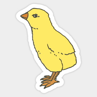 Little Yellow Chickens Sticker